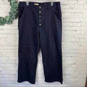 PILCRO THE LETTERPRESS  Wide Leg Blue Pants ob1396869 Exposed Buttons Size 31